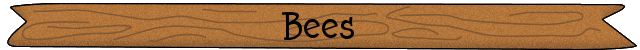 bees