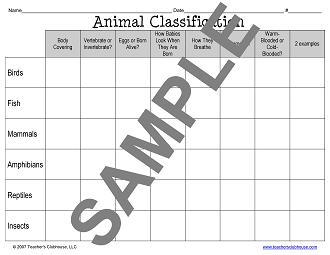 Animal Classification Chart