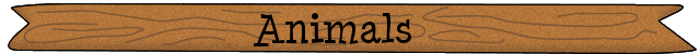 Animals