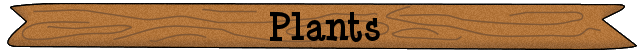 Plants